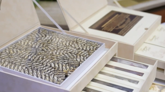 La captura de pantalla