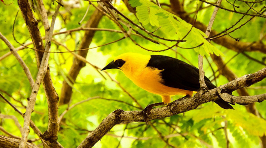 Fotografía: Juan Mendez Diaz / iStock
