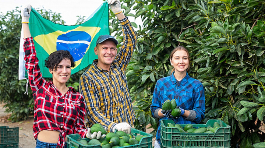 Fotografía: JackF / iStock