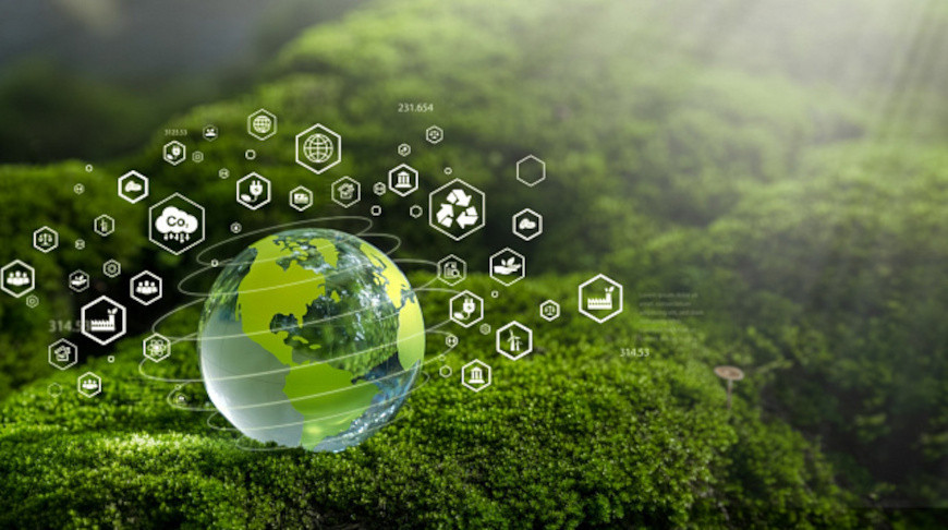 Fotografía: Sakorn Sukkasemsakorn / iStock