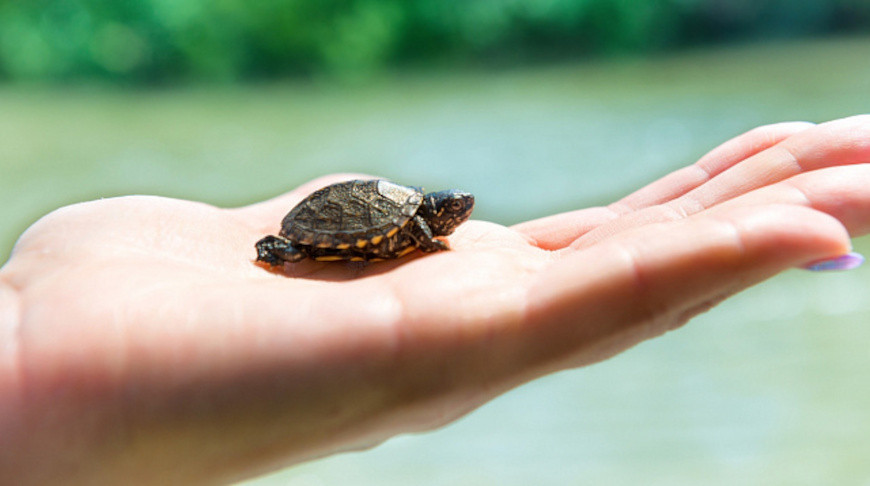 Fotografía: Dovapi / iStock