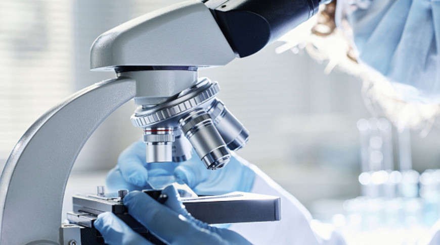 Fotografía: AnnaStills / iStock