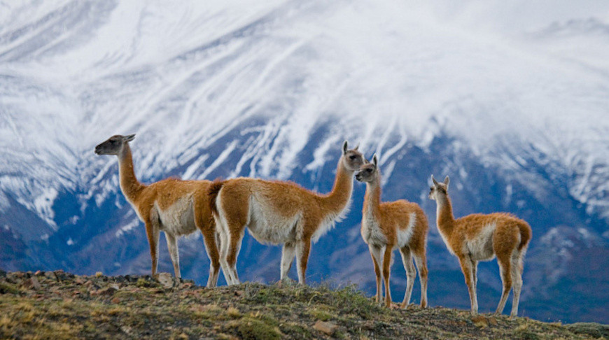 Fotografía: ANDREYGUDKOV / iStock