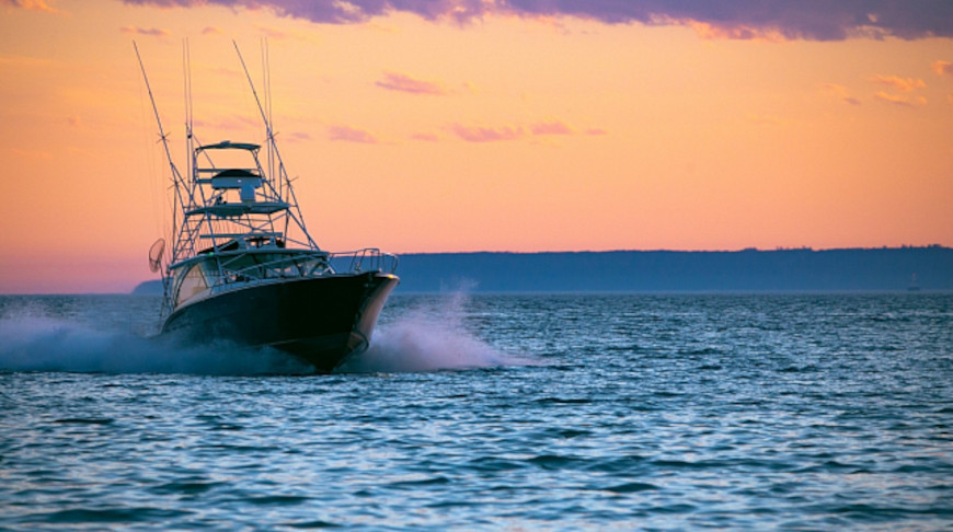 Fotografía: Alan Creative / iStock