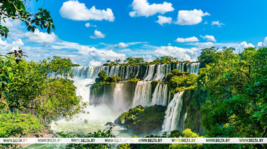 Fotografía: ivotheeditors / iStock