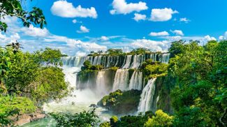 Fotografía: ivotheeditors / iStock