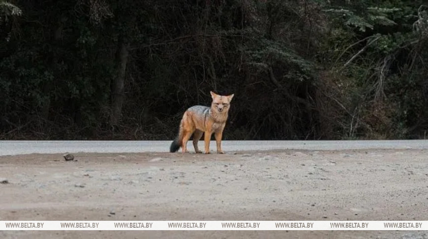 Fotografía: Wirestock / iStock