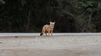 Fotografía: Wirestock / iStock