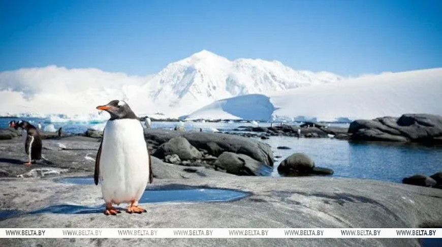 Fotografía: mike_matas / iStock