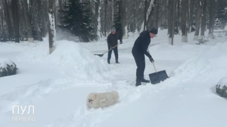 La captura de pantalla