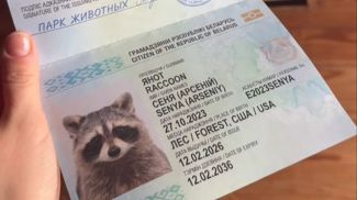 Foto del Parque Zoológico de Baránovichi