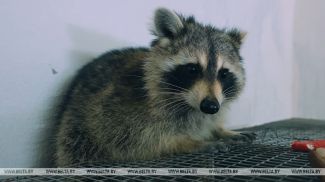 Captura de la pantalla del vídeo