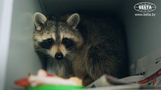 Captura de pantalla del video de BelTA