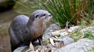 Fotografía: Musat / i Stock
