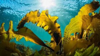 Fotografía: EyeEm Mobile GmbH / iStock