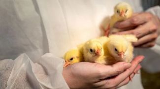 Fotografía: SushiSu / iStock