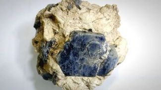 Fotografía: Ministerio de Ciencia y Educación Superior de la Federación de Rusia