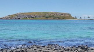 Fotografía: Leoaraujo7 / iStock