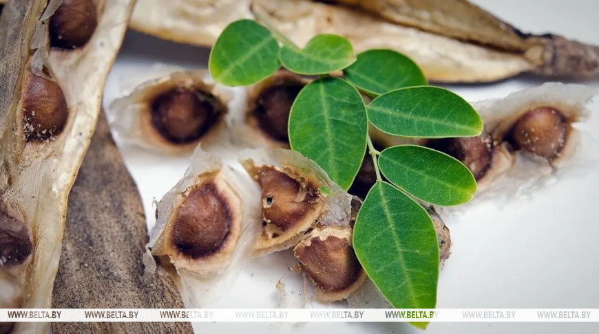 Fotografía: SuradechK / iStock