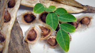 Fotografía: SuradechK / iStock