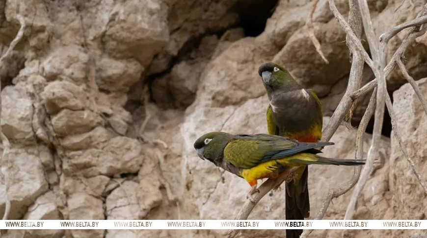 Fotografía: Walter Macedo / iStock
