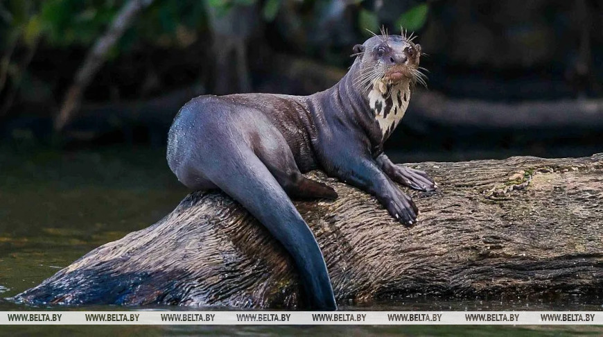 Fotografía: OSTILL / iStock