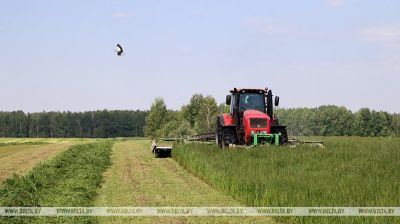 Belarús acopiando forraje de las hierbas de primera siega 
