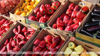 En las regiones se celebran ferias de otoño 
