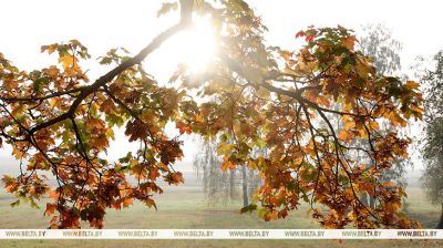 Otoño en Belarús 