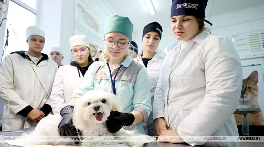 La Academia Veterinaria de Vítebsk cumple 100 años 