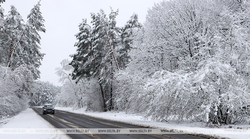  La gran nevada en la provincia de Gómel 
 