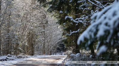 La primera nieve en la región de Moguiliov