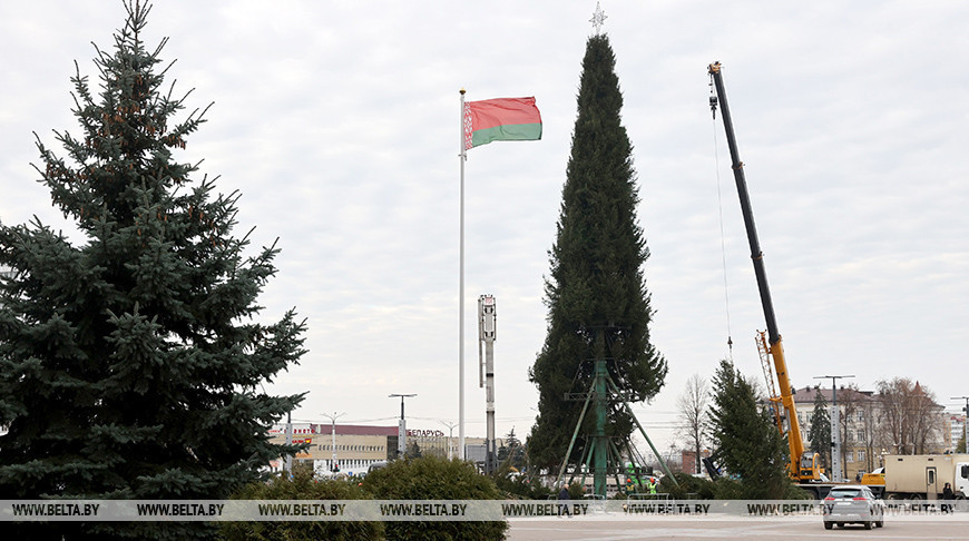  Montaje del árbol de Año Nuevo en Vítebsk  