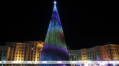 Las luces del principal árbol de Navidad de la provincia se encendieron en Moguiliov 