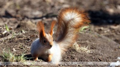 En el parque de Gómel
