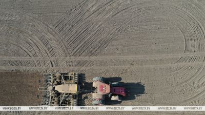 Comienza la siembra de cereales en la provincia de Grodno