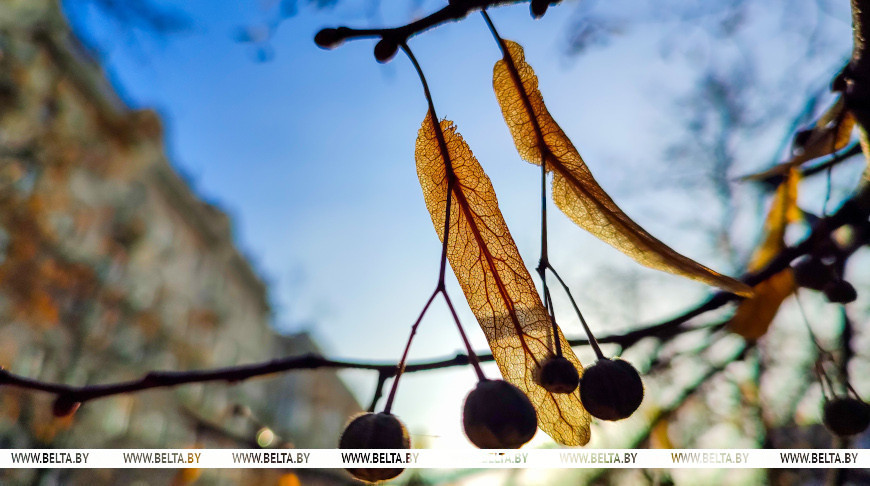 La naturaleza se prepara para la floración primaveral 