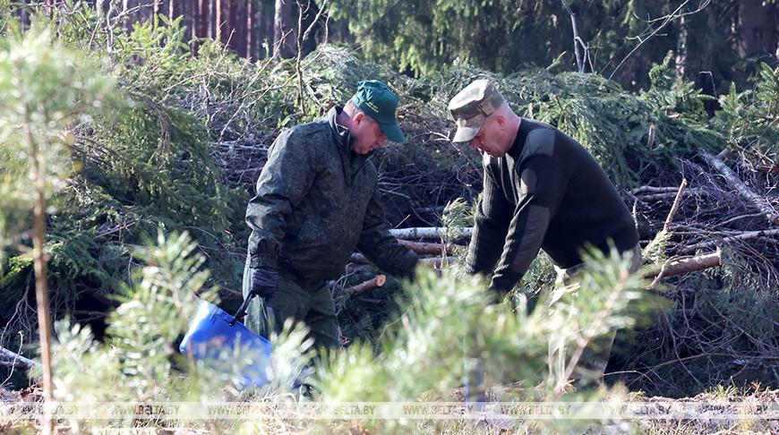 La acción “Dar una nueva vida al bosque” arranca en Belarús 