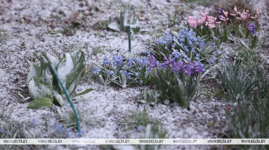 Belarús se cubrió de nieve 