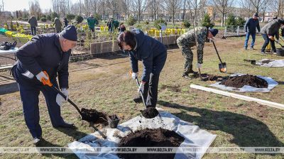 El subótnik republicano
en Belarús 