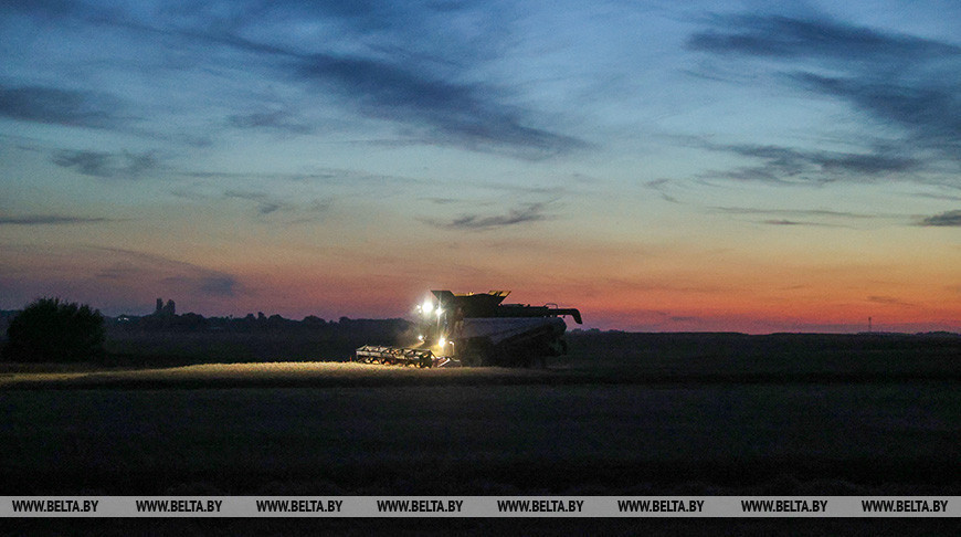 Cosecha nocturna en la región de Brest 