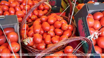 Tomates, berenjenas, melones y sandías. Se inauguró en Moguiliov la feria de productos de Astracán