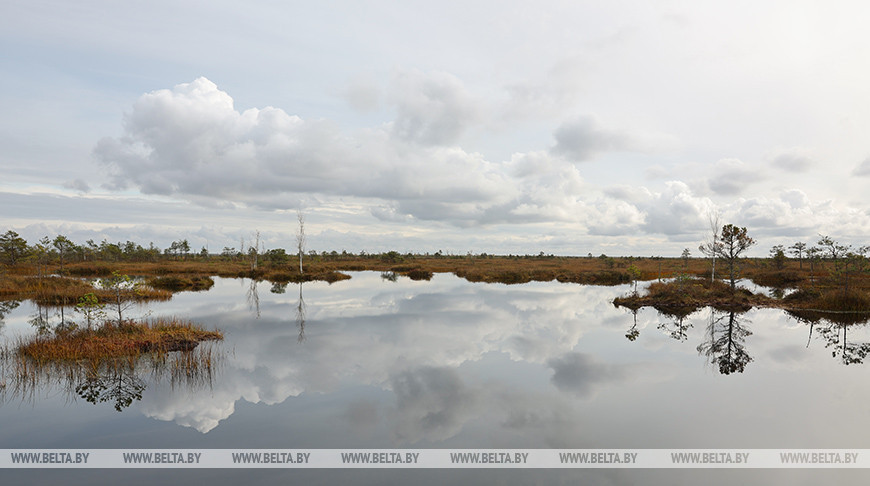 Zona protegida Yelnia 