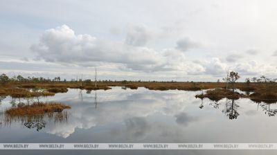 Zona protegida Yelnia 