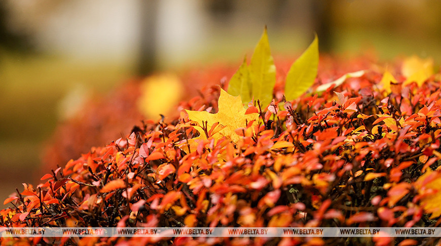 Un día lluvioso de otoño