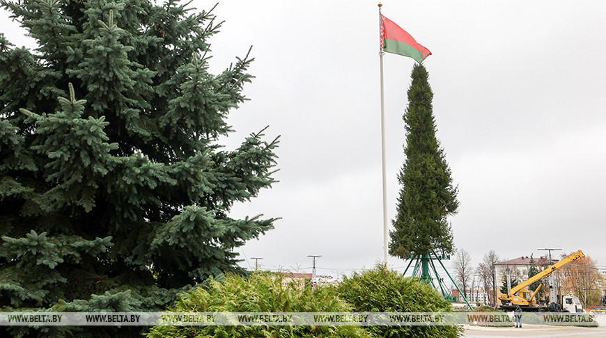  En Vítebsk se está instalando el árbol de Navidad
 