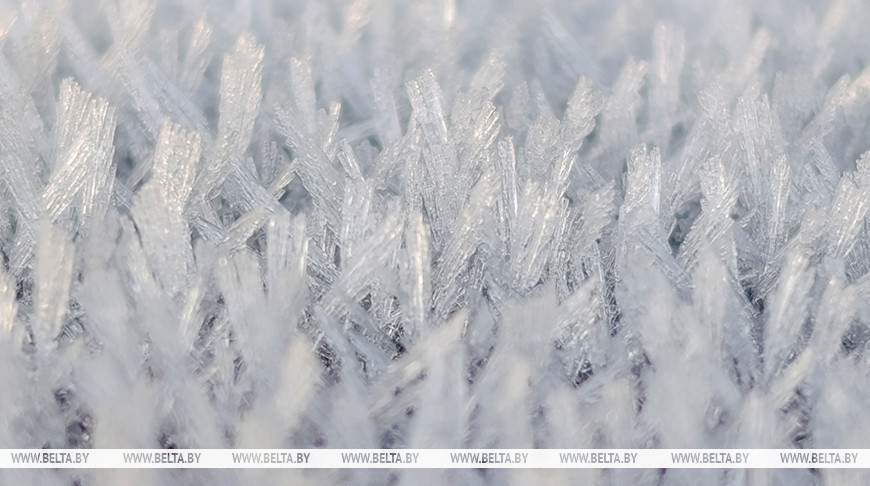 Primeros indicios del invierno 