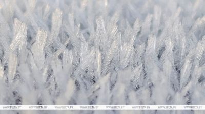 Primeros indicios del invierno 