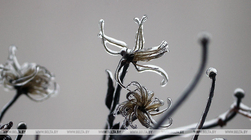 Lluvia helada en Grodno 