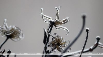 Lluvia helada en Grodno 